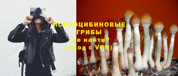 молекула духа Магас