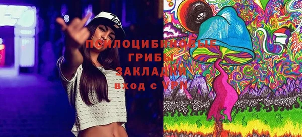 молекула духа Магас