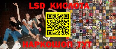 гидропоника Гусь-Хрустальный