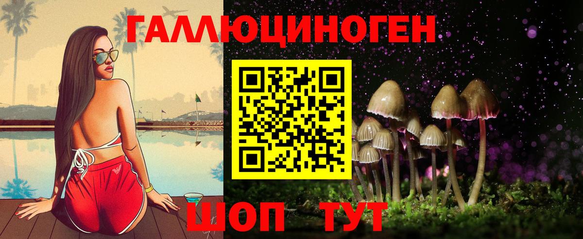 Галлюциногенные грибы Psilocybe Троицк
