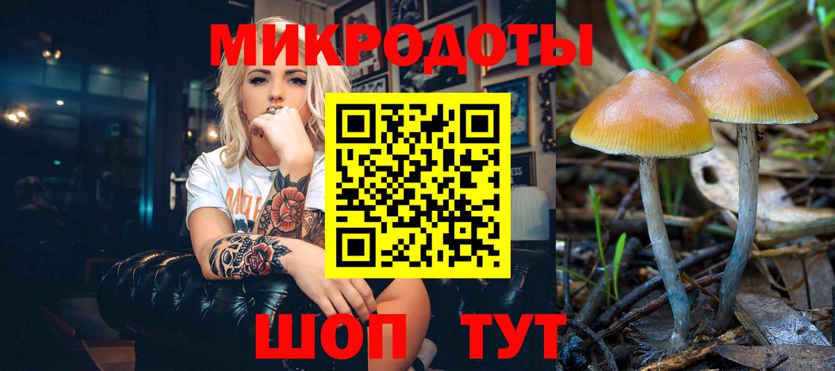 Троицк  Псилоцибиновые грибы мухоморы  Вход с VPN 